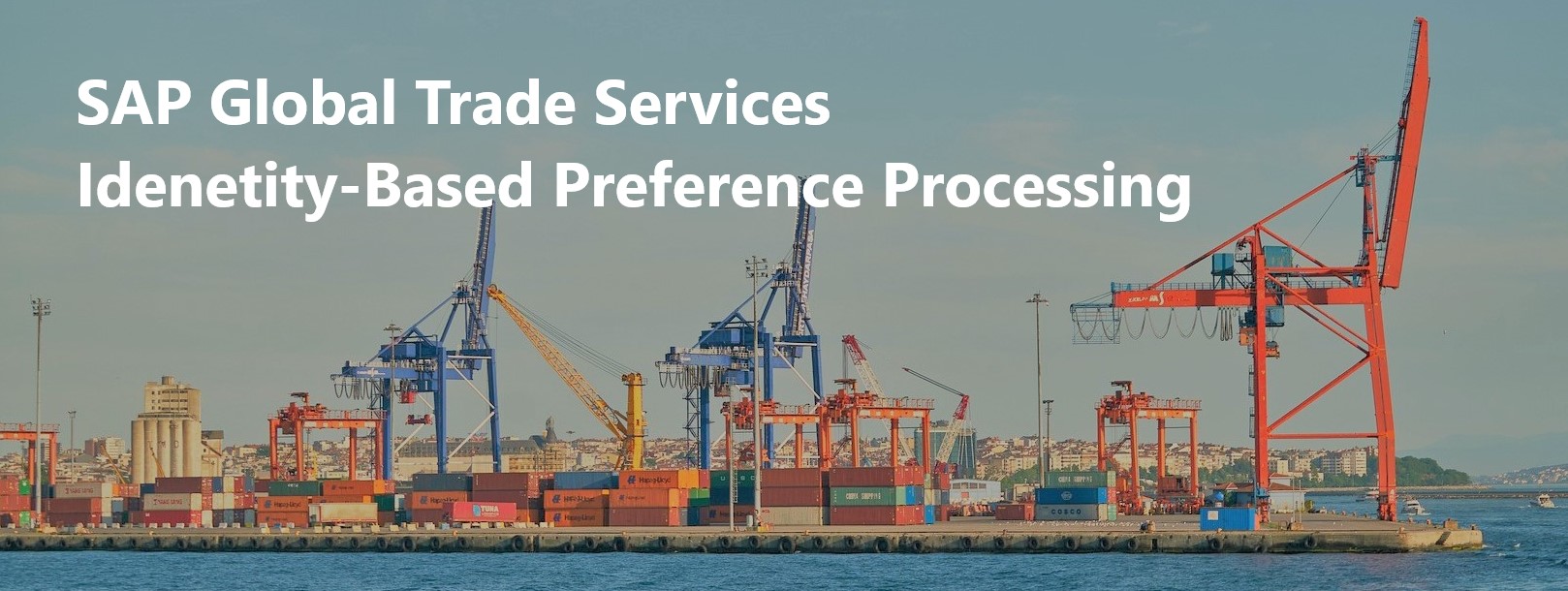 Trade preference with SAP GTS Identity-based Preference Processing (IBPP)