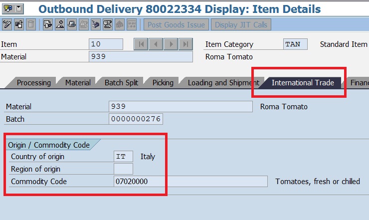S4HANA 2020 – International Trade data in Delivery item – small dressing for a large wound